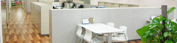 企業(yè)歷史 Company History